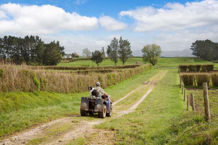 334 Okauia Springs Road Okauia_13