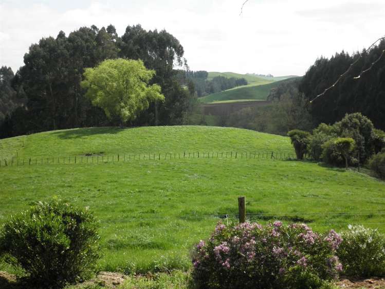 262 Henry Watson Road Matamata_9