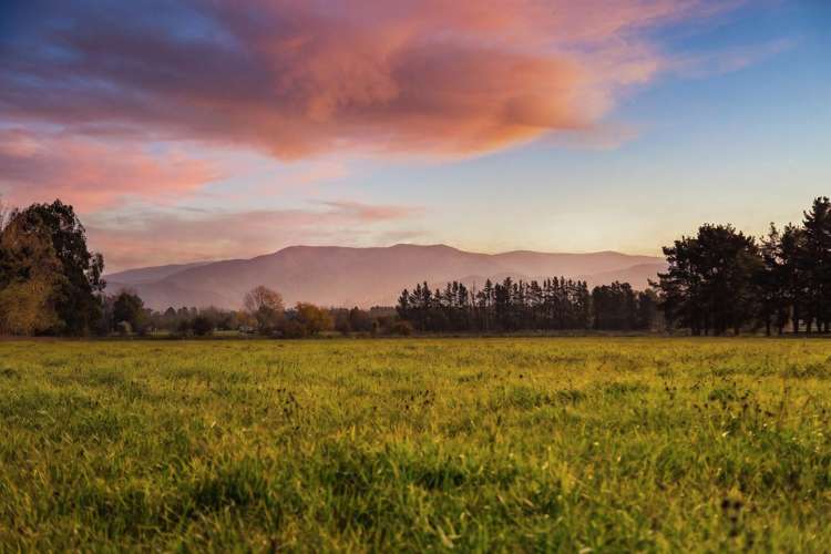 Lot 2, 122 Cross Line Greytown_11
