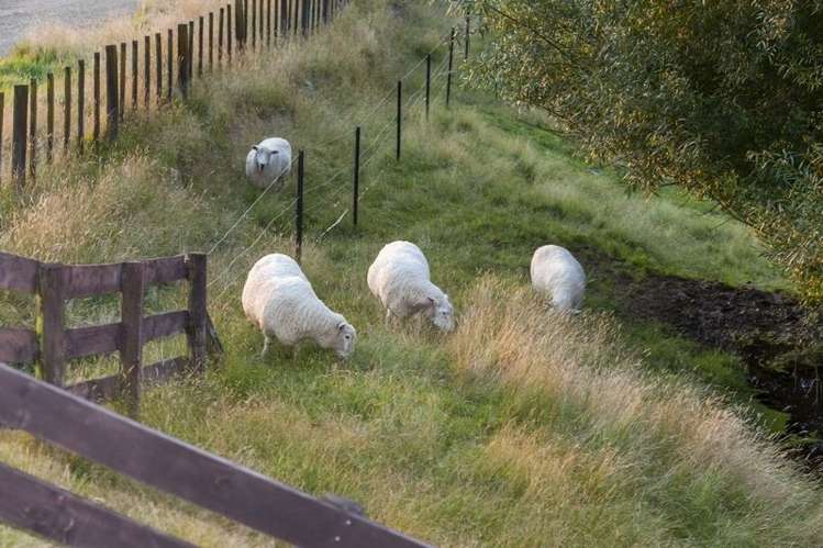 189 Huia Street Waikanae_51