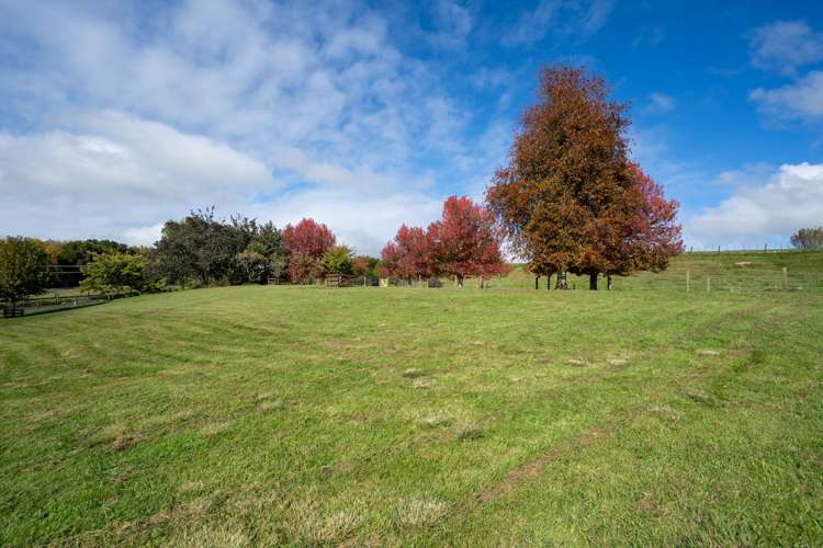 1/806 Maungatautari Road Cambridge_4