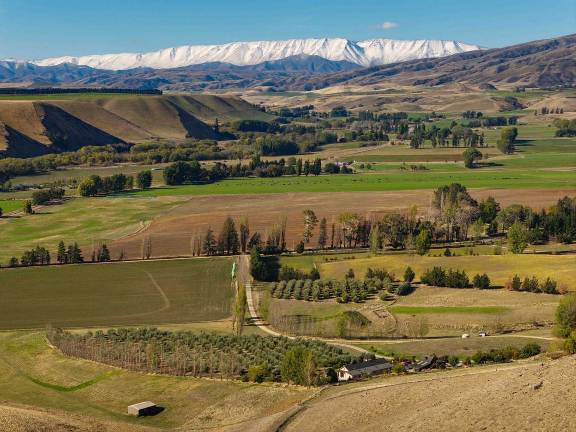 58 Thomson Gorge Road Tarras_0