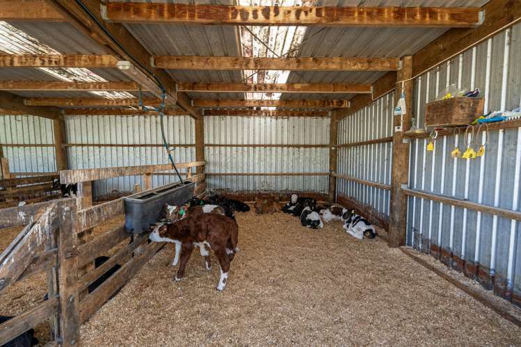 1026 Limeworks Loop Road Te Pahu_5