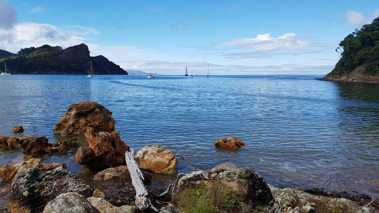 329 Blind Bay Road Great Barrier Island (Aotea Island)_16