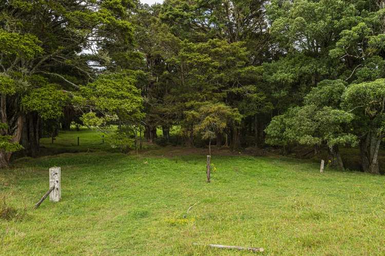 453 Pigs Head Road Hukerenui and Surrounds_21