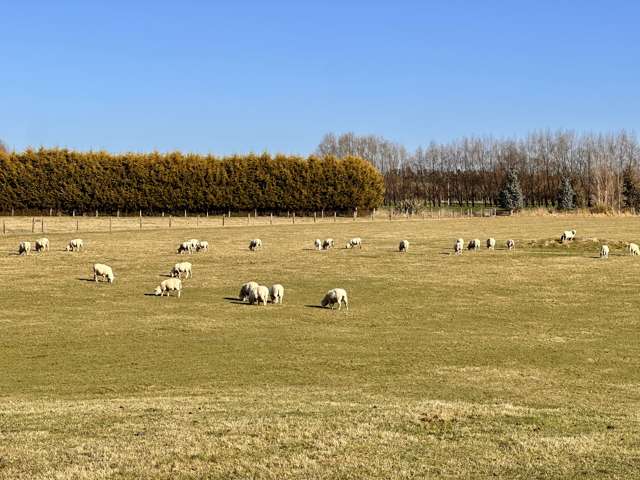 17 Counsell Road Makarewa_4