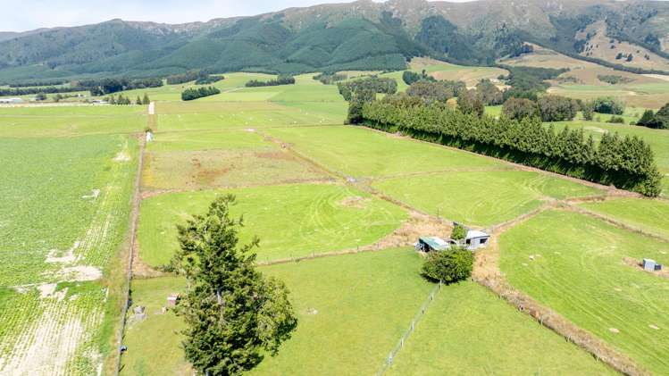 294 Sheddan Road Tapanui_30