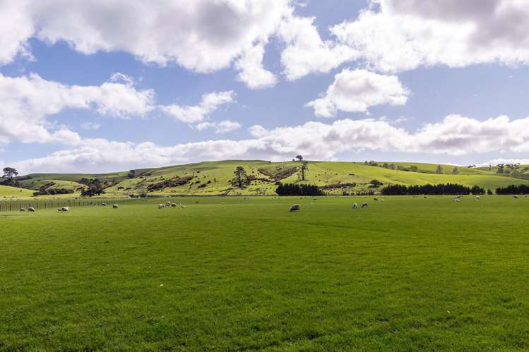 White Rock Road Martinborough_17