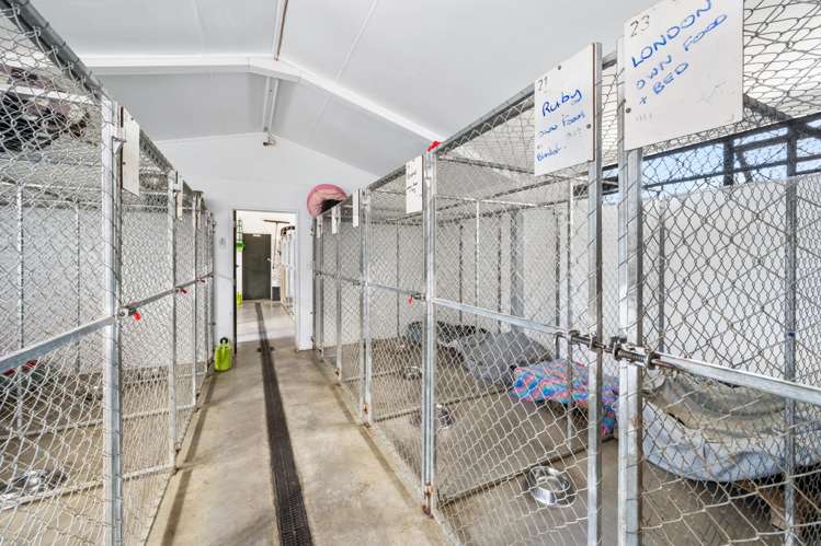 1981 Omakau-Chatto Creek Road Alexandra_22