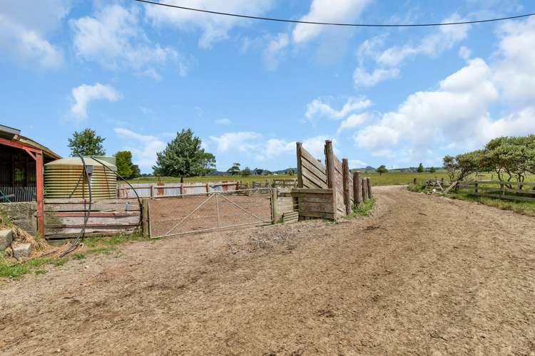 530 Tramline Road Ruawai_7