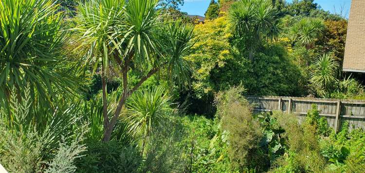 10 Libby Lane Howick_9