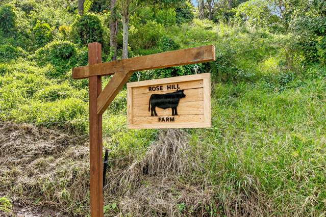 Lot 52 Curtis Road Canungra_2