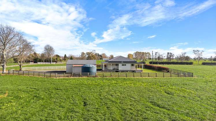 446 Maiseys Road Waharoa_19