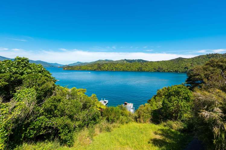Lot 1 Double Cove Queen Charlotte Sound_21