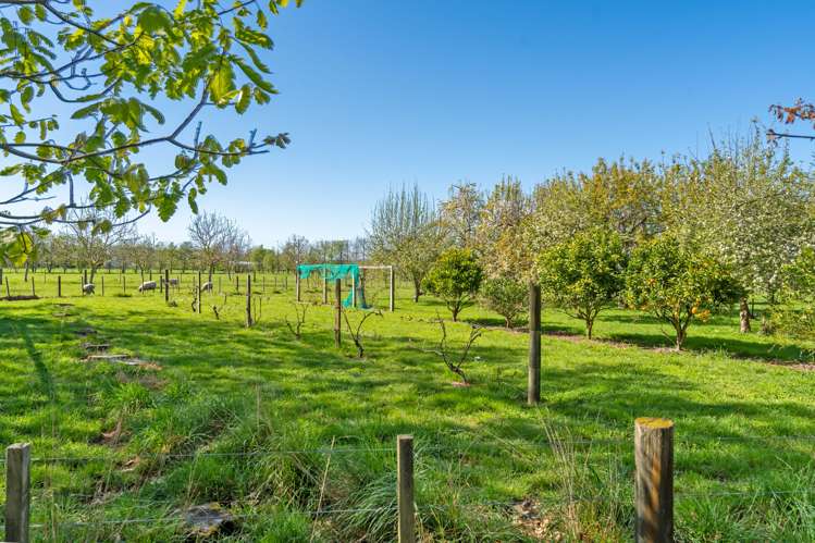 180 Paierau Road Opaki_22