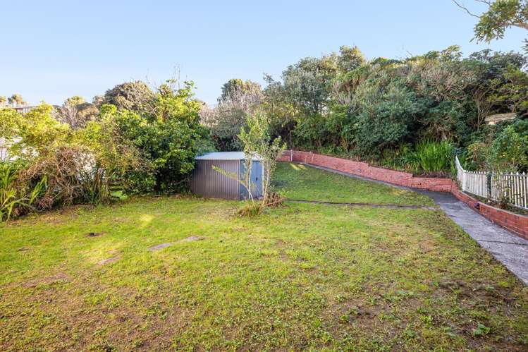 18 Wilberforce Street Miramar_17