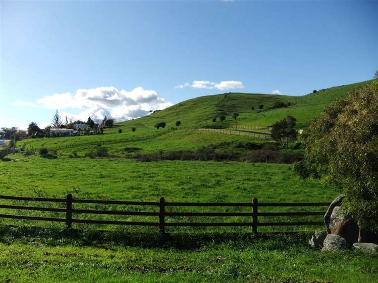 8 Colin Drive Paeroa_4