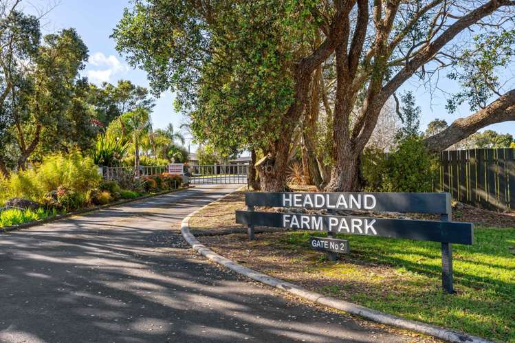 46/71 Manganese Point Road Tamaterau_1