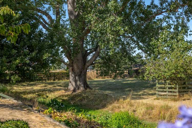 692 State Highway 2 Opaki_12