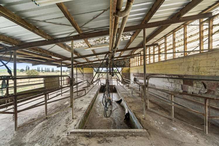 80 Scotsman Valley Road Tauwhare_5