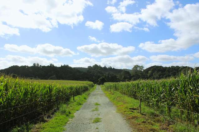 Lot 1-10/260 Waitoki Road Waitoki_2