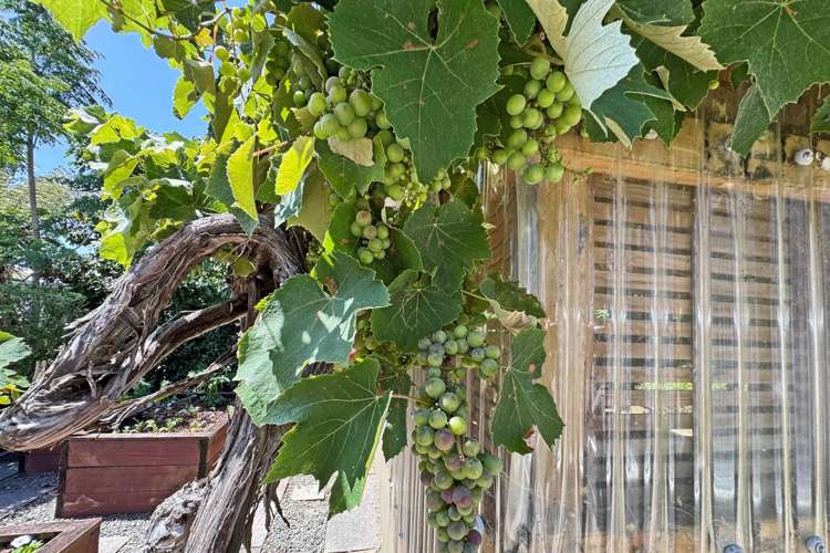 4 Tainui Road Devonport_23