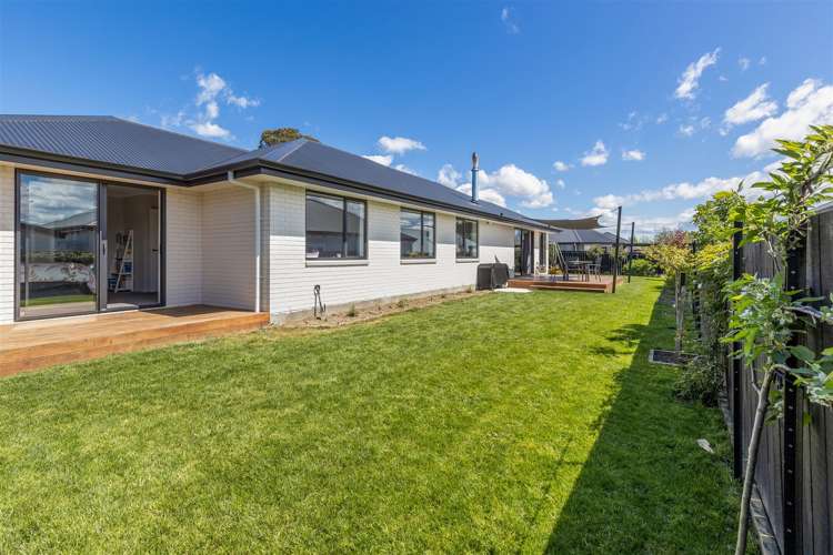 84b Alma Street Renwick_23