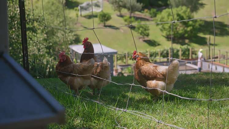 16 Corbett Drive Wairoa_38