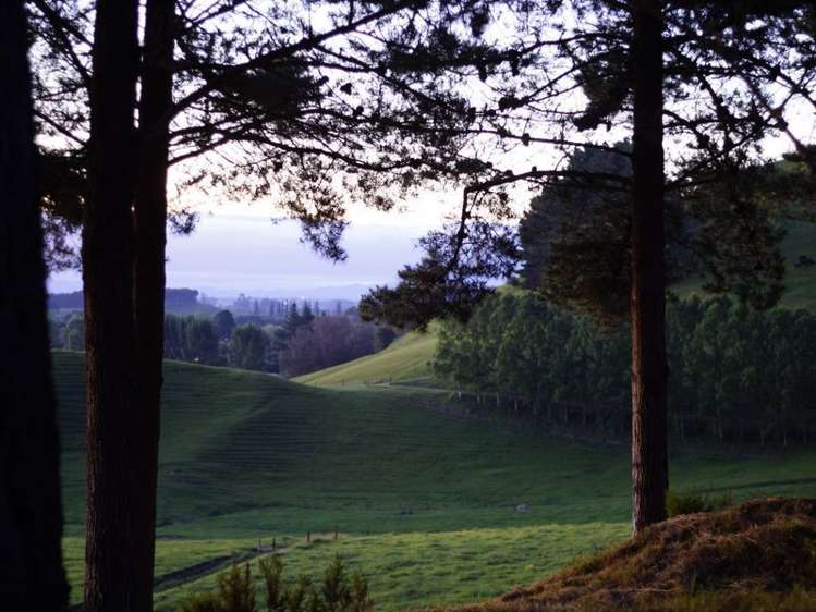 207 Scotsman Valley Road Tauwhare_13