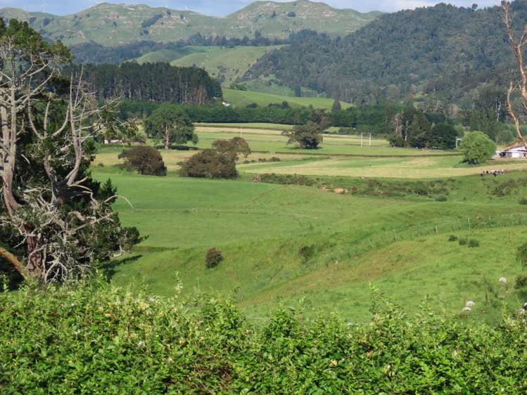 630 Grove Road Karamu_24