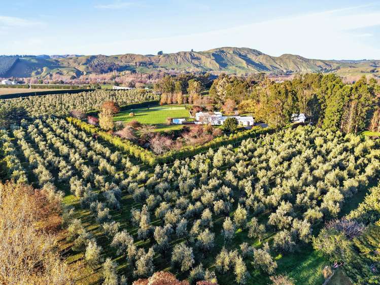 136 Hinekura Road Martinborough_46