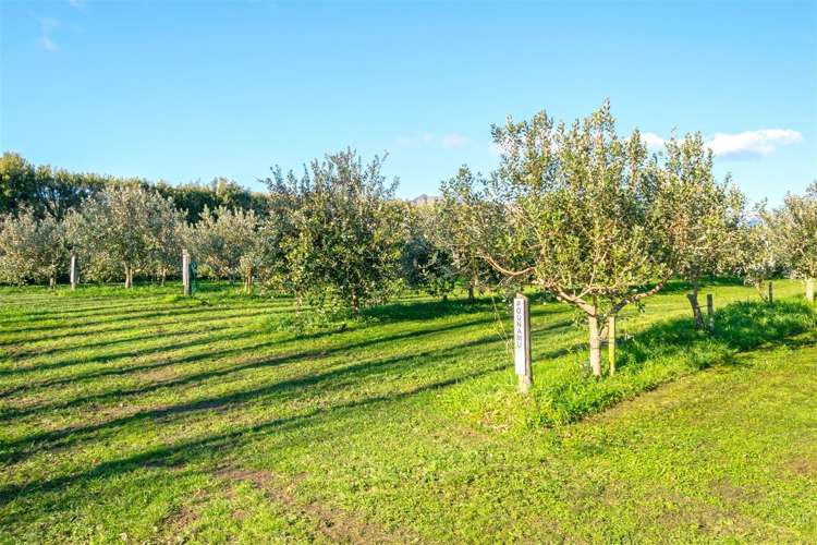 280 Tyntesfield Road Waihopai Valley_13