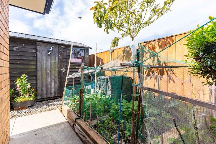 13 Sando Way One Tree Point_18