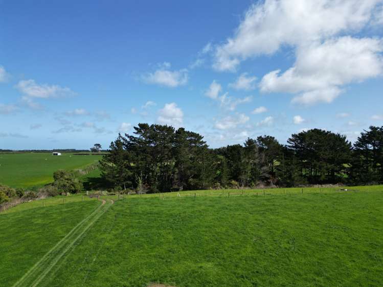 Ahipaipa Road Okaiawa_22