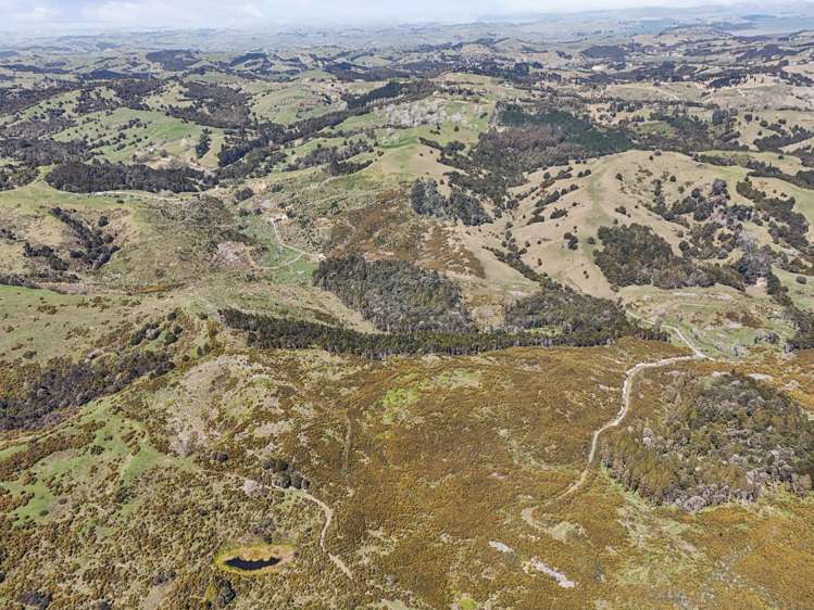Arcadia Road Paparoa_5