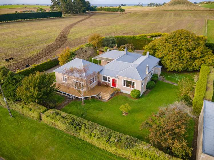 65 Springfield Road Totara_20