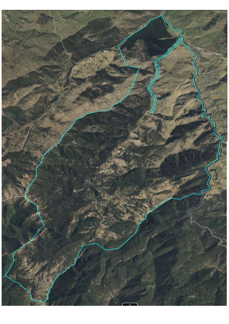 1180 Tyntesfield Road Waihopai Valley_30