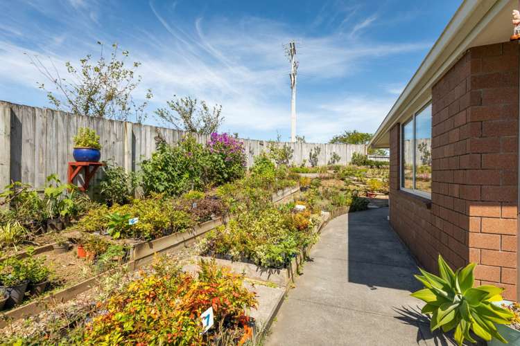 22 Orchard Road Waihi_23