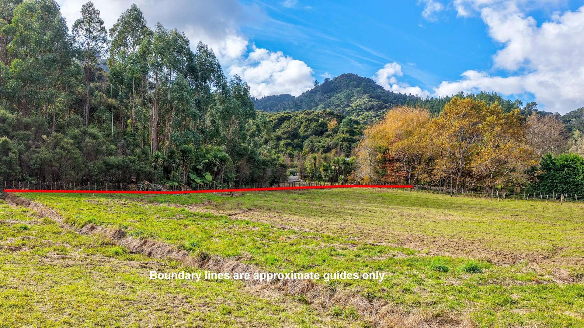 163 and 165 Tapu Coroglen Road Tapu_0
