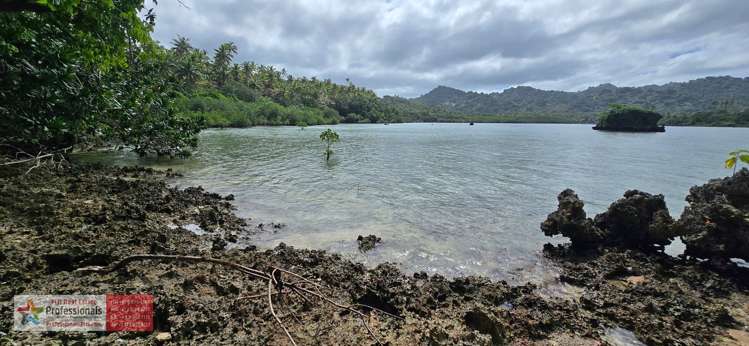 Address withheld Savusavu_32