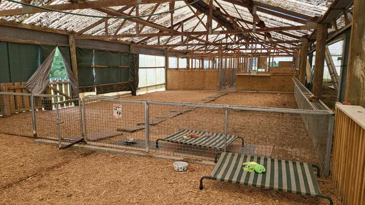 76 Wings Line Marton_21