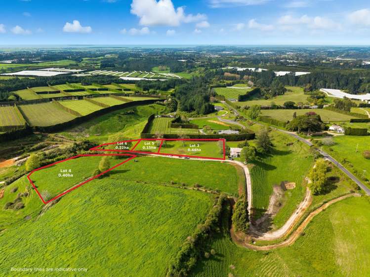 1042 Rangiuru Road Te Puke_10