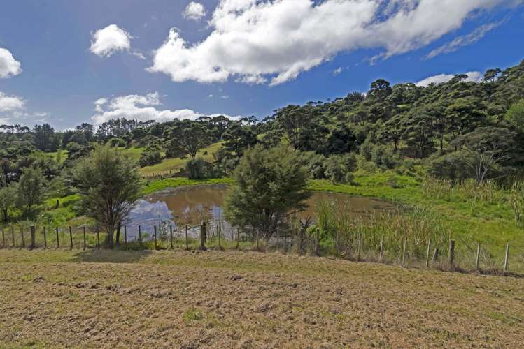 63b Manuka Grove Helensville_17