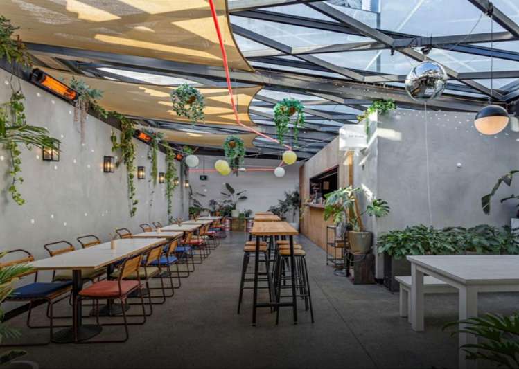 5 Rose Road Grey Lynn_1