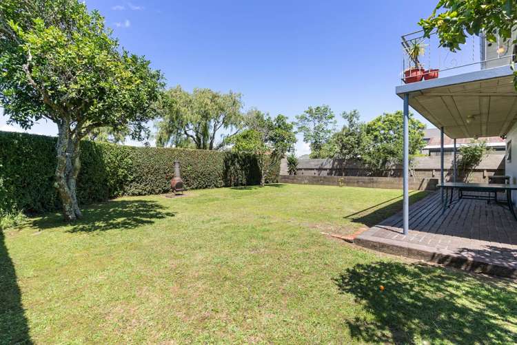 1 Tamatea Avenue Pt England_23