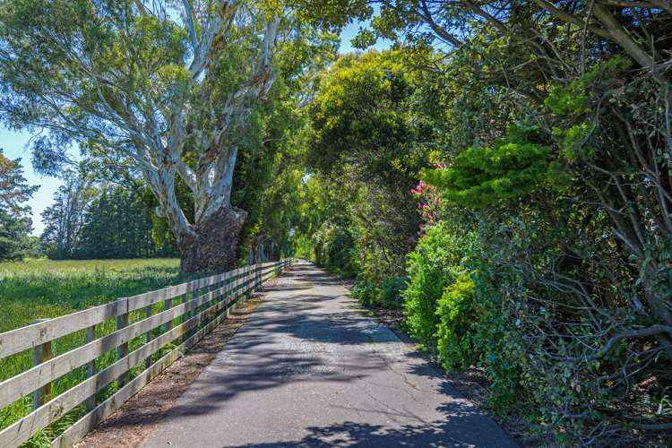 323 Reid Line East Colyton_45