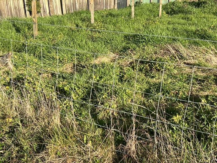 Lot 1/37 Gordon Street Woodville_6