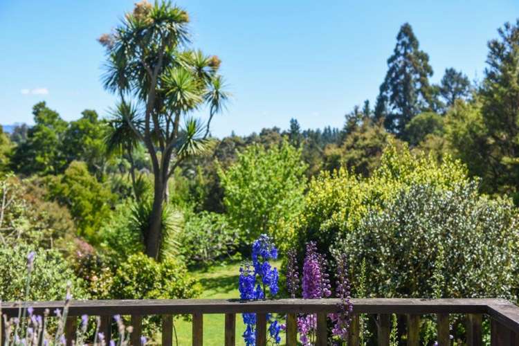 30 Rangihaeata Road Kahurangi National Park_20