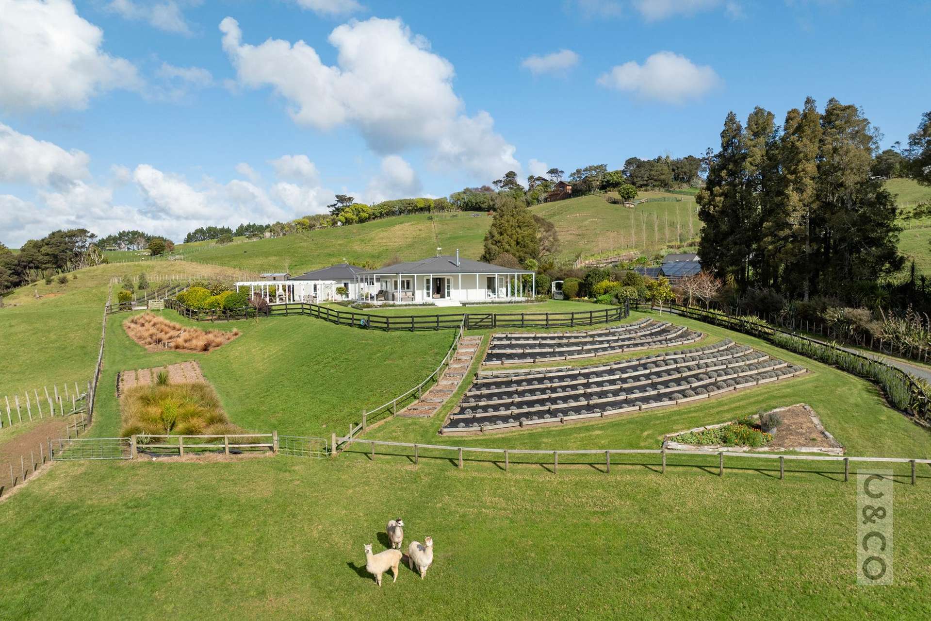 93 Alf Access Road Helensville_0