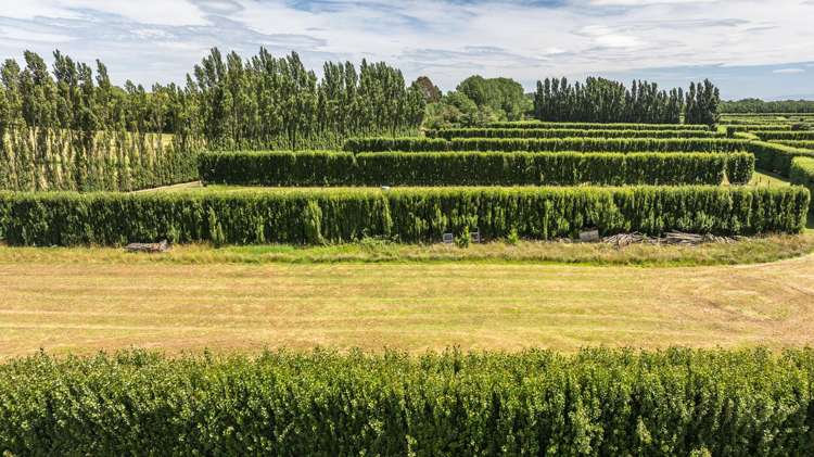 40 Rhodes Road Tai Tapu_14